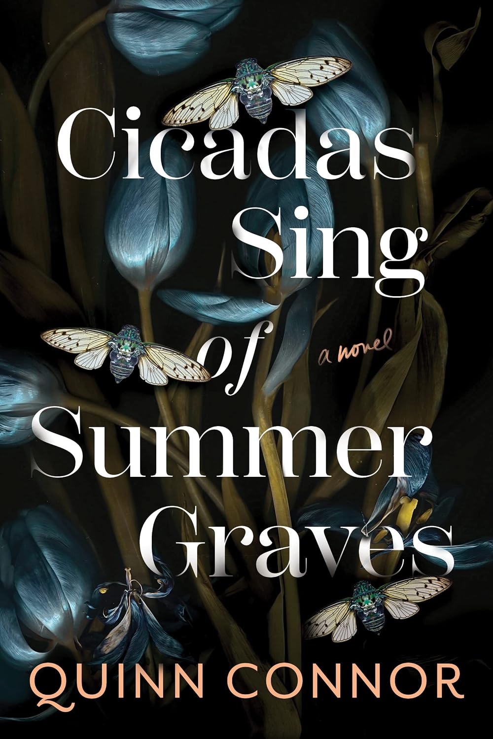 CONNOR, QUINN - Cicadas Sing of Summer Graves