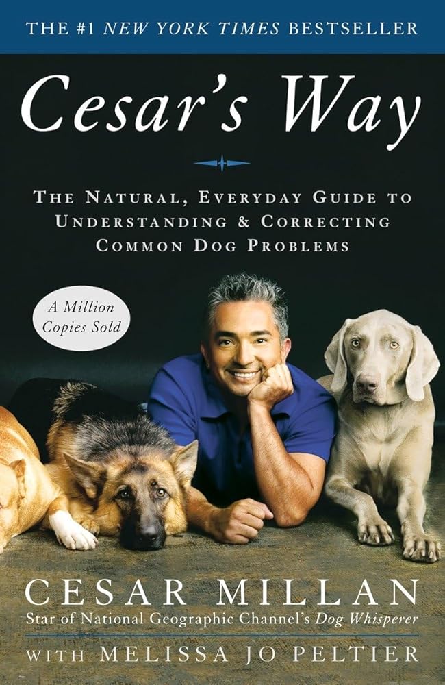 Cesar's Way: The Natural, Everyday Guide to Understanding & Correcting Common Dog Problems cover image