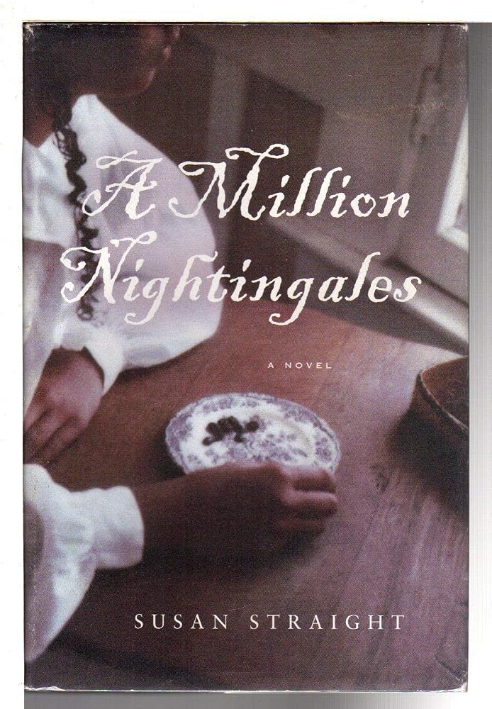 A Million Nightingales: A Novel cover image
