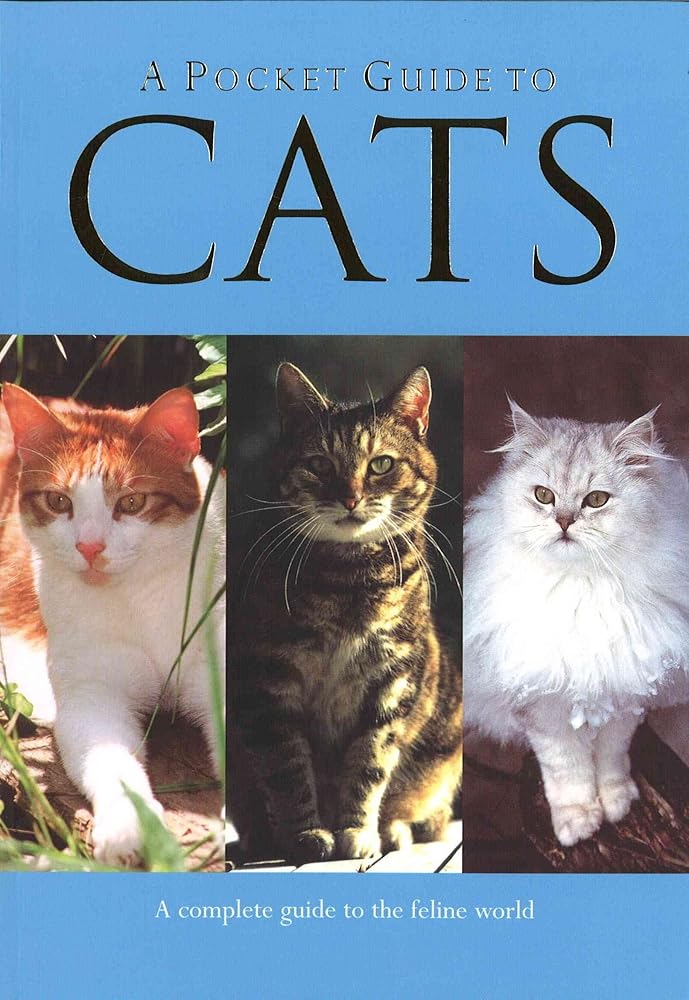 A Pocket Guide to Cats cover image