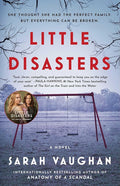 Little Disasters: A Novel cover image